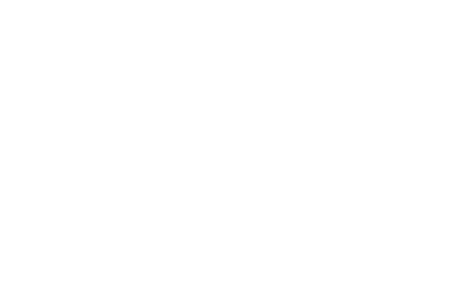 logo gem new